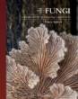 The Lives of Fungi : A Natural History of Our Planet's Decomposers